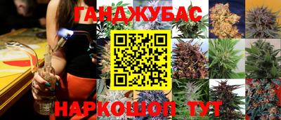 a pvp Лесосибирск