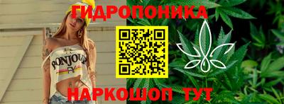 a pvp Лесосибирск