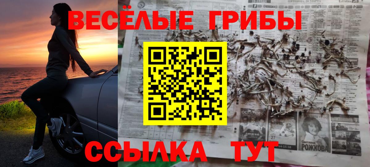 Галлюциногенные грибы Psilocybe  Вход с VPN  Гулькевичи 